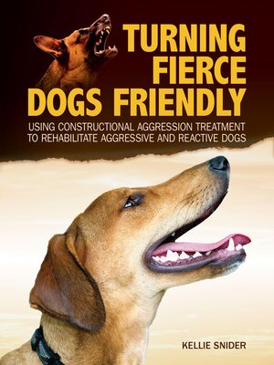cover image of Turning Fierce Dogs Friendly